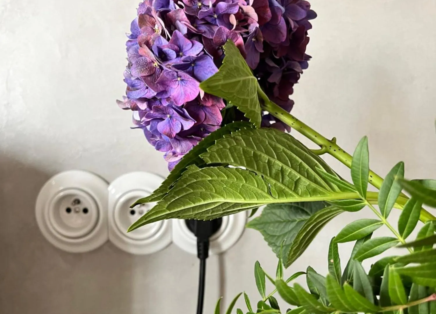 شقة Heart Of Le Marais - Modern & Cosy Nest In The Old باريس